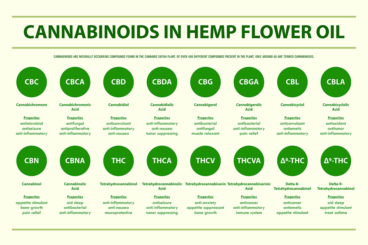 article cannabinoids | 8 Cannabinoids Found in Cannabis